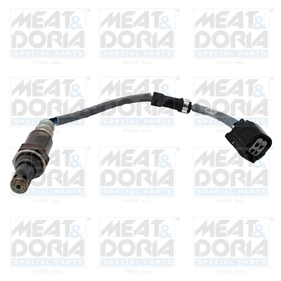 Oxygen Sensor